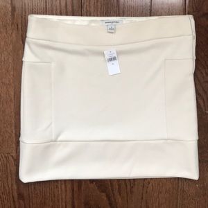 Banana Republic Skirt